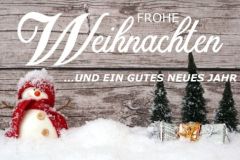 Frohe-Weihnachten-ein-gutes-neues-Jahr